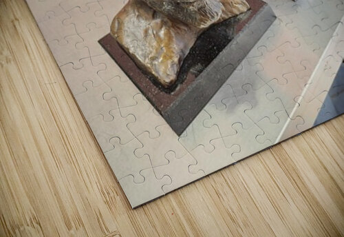 1000018756 Marc Melis puzzle