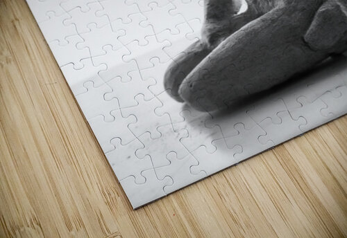 PSX 20250330 141753 Marc Melis puzzle