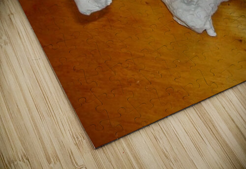 .facebook 1425274391286 Marc Melis puzzle