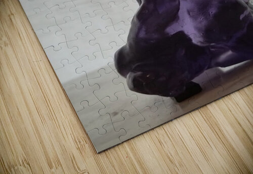 20250416 164044 Marc Melis puzzle