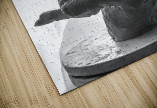 PSX 20250720 234936 Marc Melis puzzle