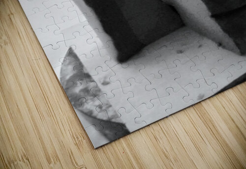 Fools Leap --- 20250915 232227 2 Marc Melis puzzle