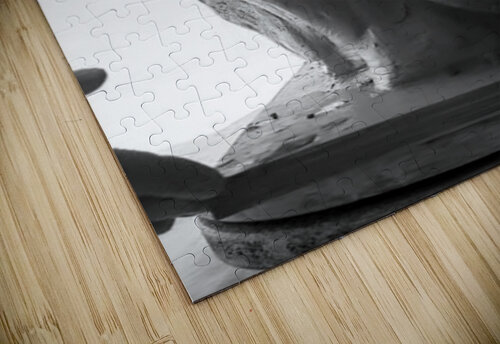 Alouette - 1 Marc Melis puzzle