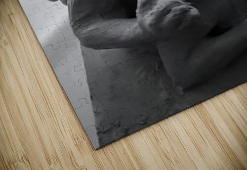 Alouette - 1 Marc Melis puzzle