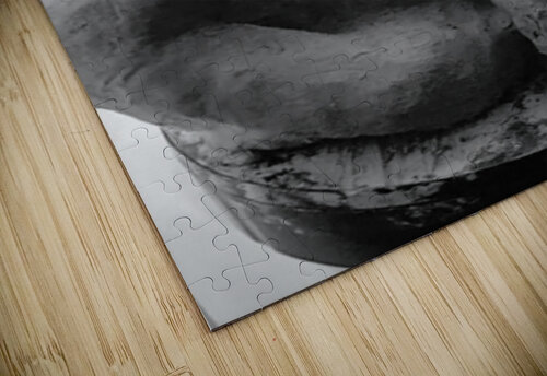 Beloved Companion 2 - 2 Marc Melis puzzle