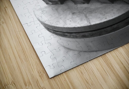 Selva Oscura --- 20251101 225127 2 Marc Melis puzzle