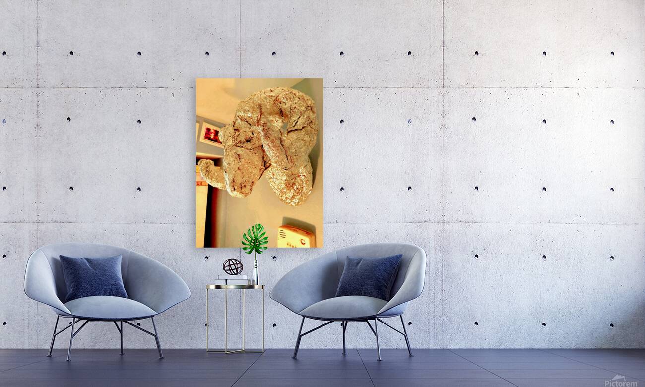 20220225 090824 Reproduction