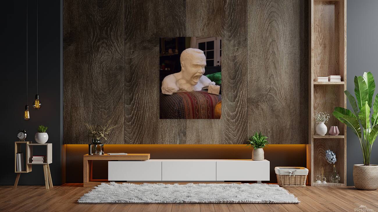 20231206 235031 Reproduction