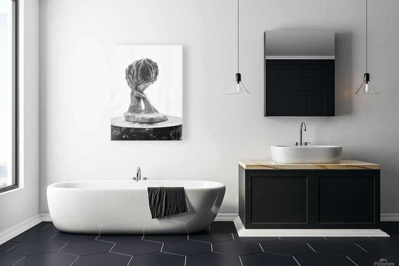 PSX 20250821 144301 Reproduction