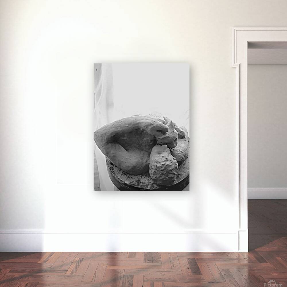 Beloved Companion 2 - 1 Reproduction