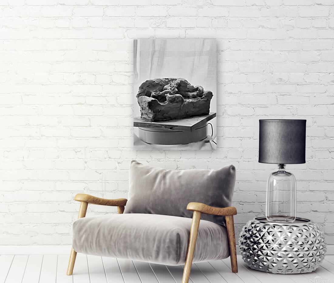 Quiet Mood --- 20251029 075144 2 Reproduction