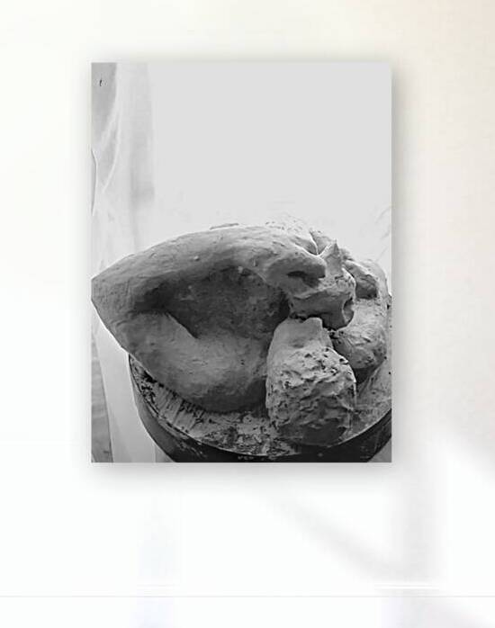 Beloved Companion 2 - 1 Reproduction