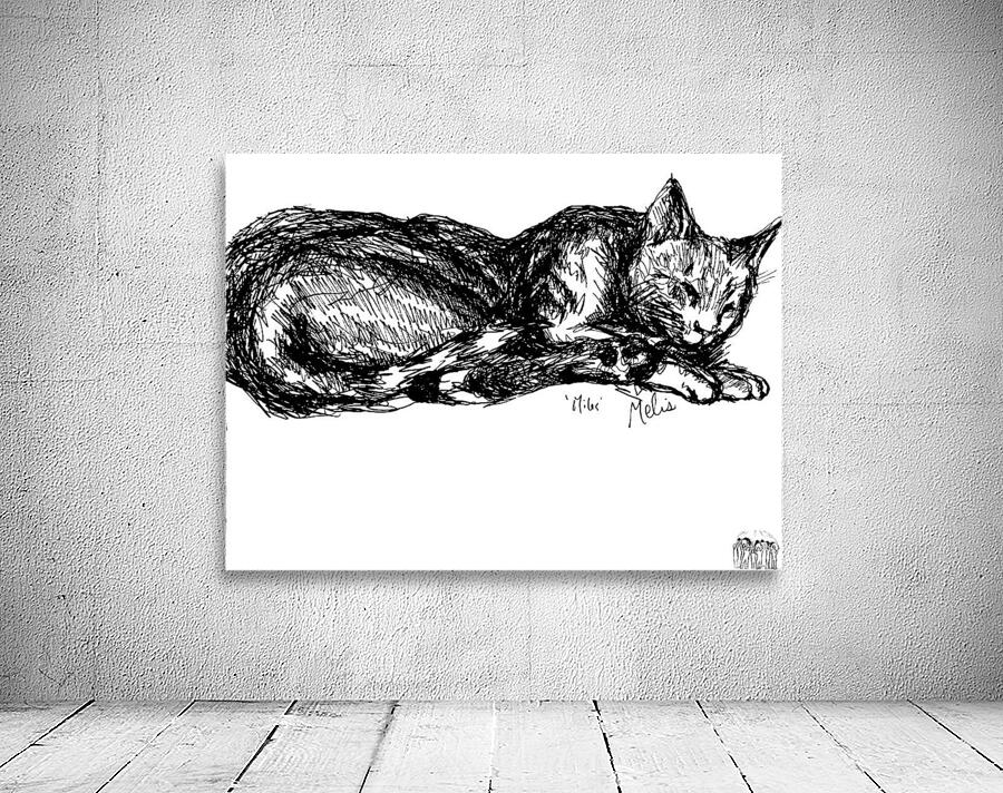 20240520 0157390 2 Wall Preview