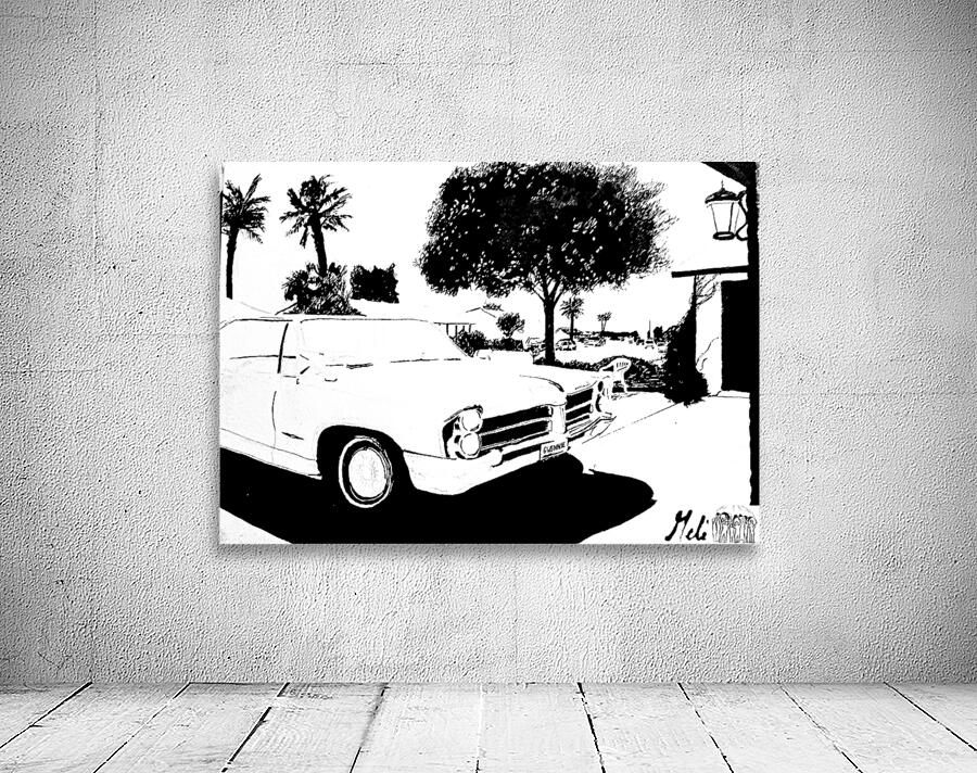 Hooptie - black and white -  PSX 20250302 042229 Wall Preview