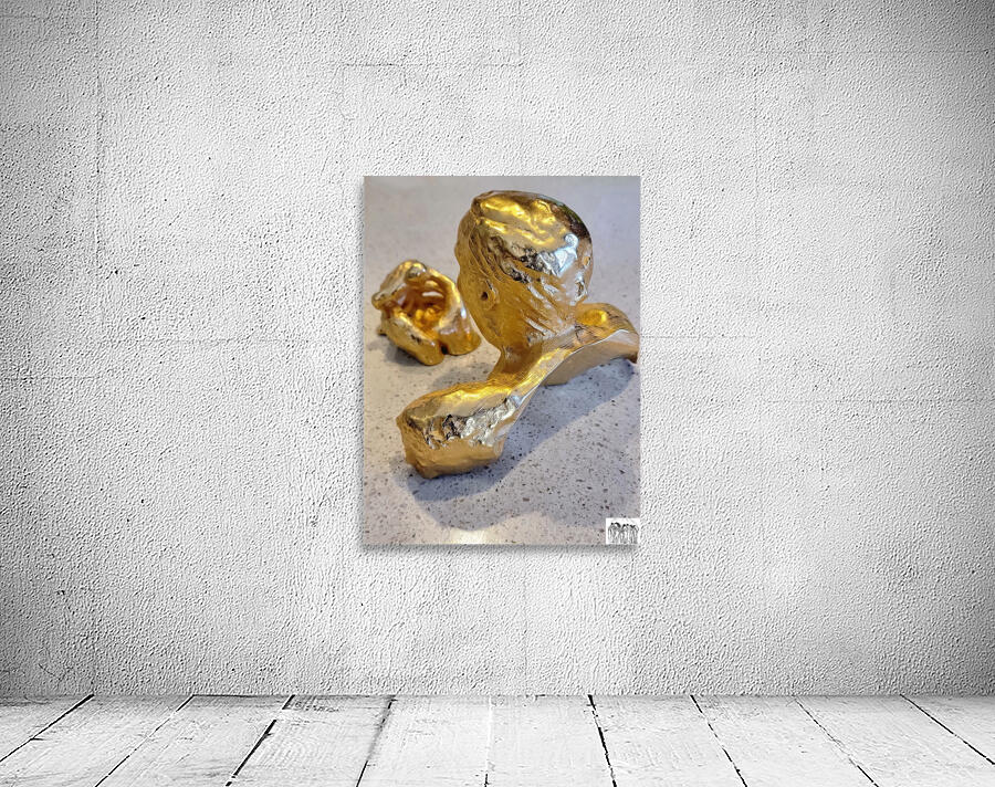 20231031 121613 Wall Preview