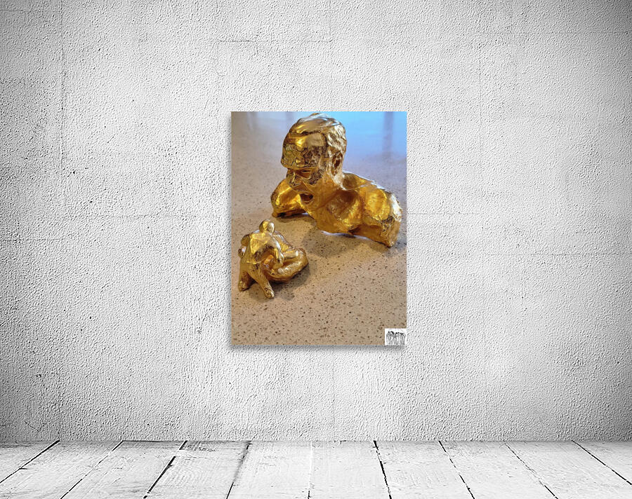 20231031 121540 Wall Preview