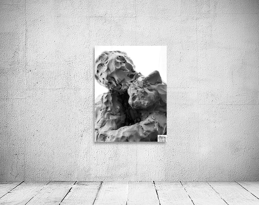 Beloved Companion 1 --- PSX 20250808 175342 Wall Preview