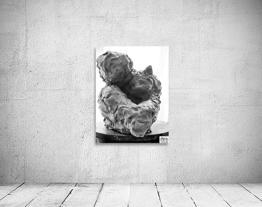 Beloved Companion 1 --- PSX 20250808 180623 Wall Preview