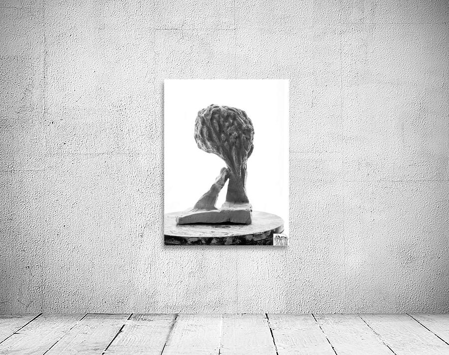 PSX 20250821 144840 Wall Preview