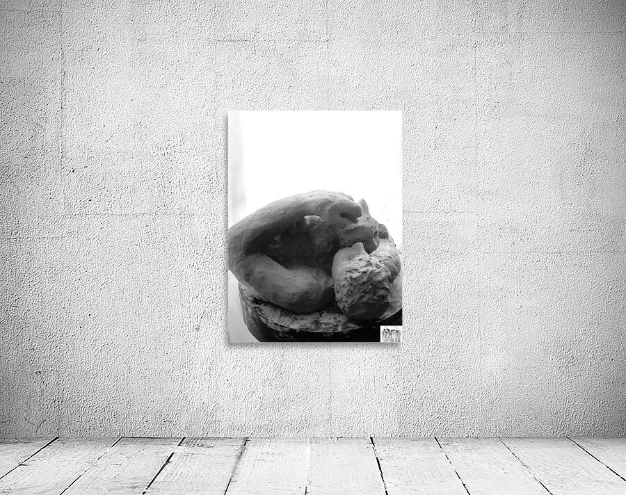 Beloved Companion 2 - 2 Wall Preview