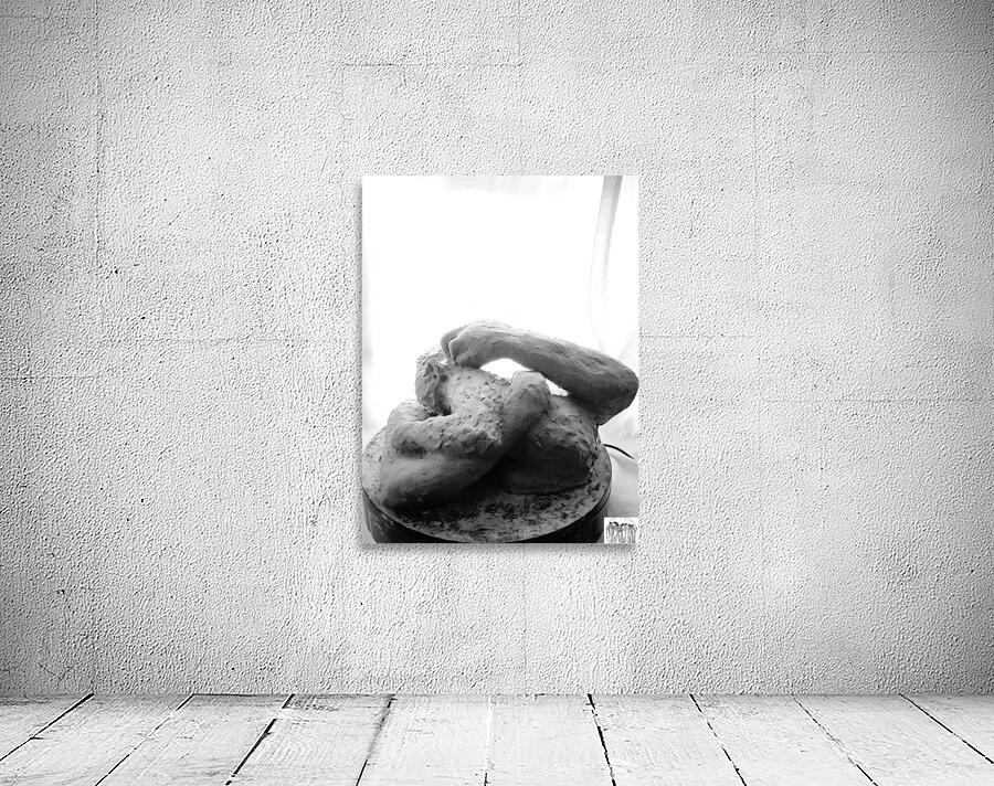 Beloved Companion 2 - 3 Wall Preview