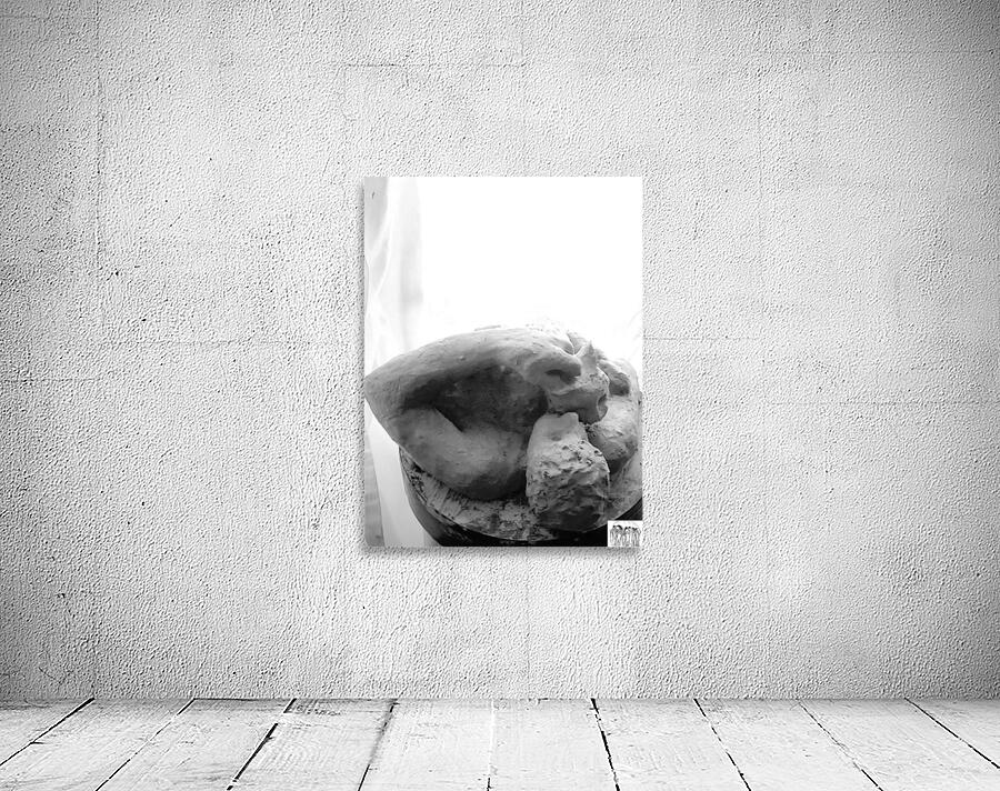 Beloved Companion 2 - 1 Wall Preview