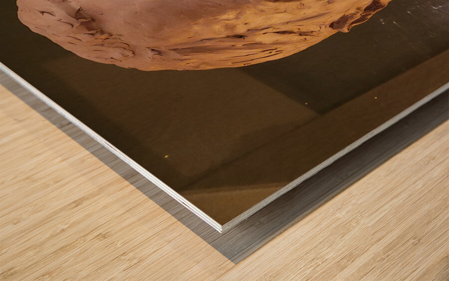 20220429 012055 Wood print