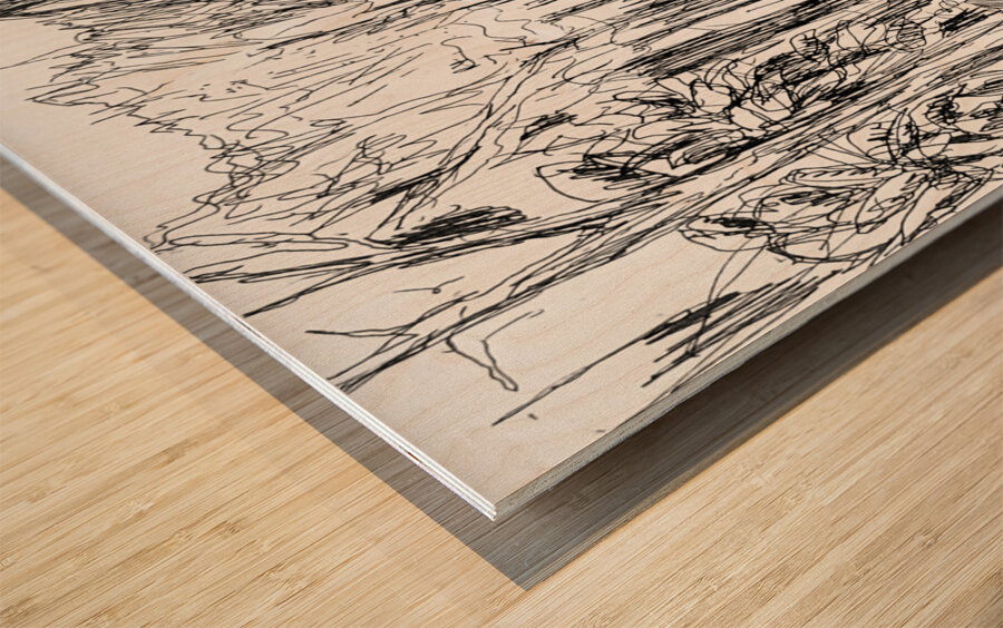 PSX 20240722 225644 Wood print