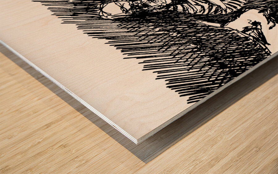 PSX 20240722 175258 Wood print