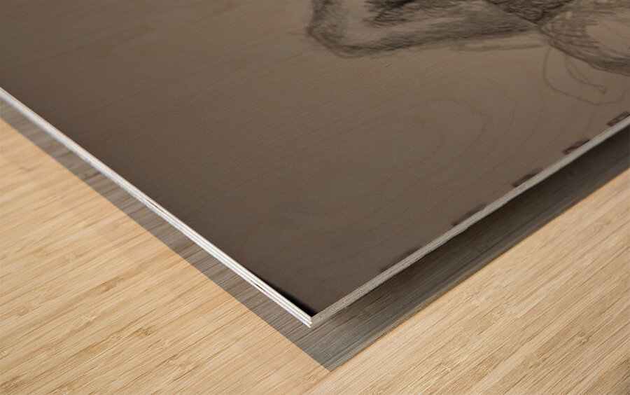 20230716 010714   Copy Wood print