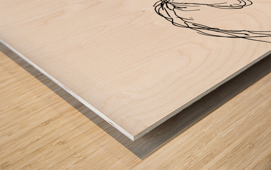 20230625 111837 2 EDIT   Copy Wood print