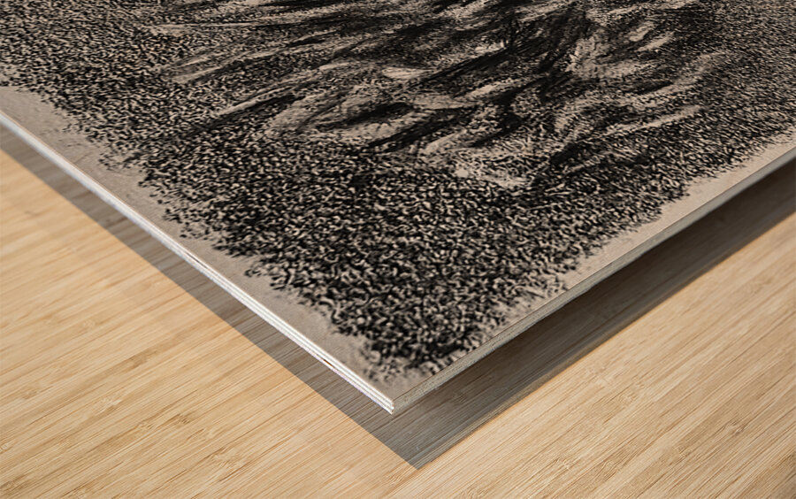 20230716 231718 2   Copy Wood print