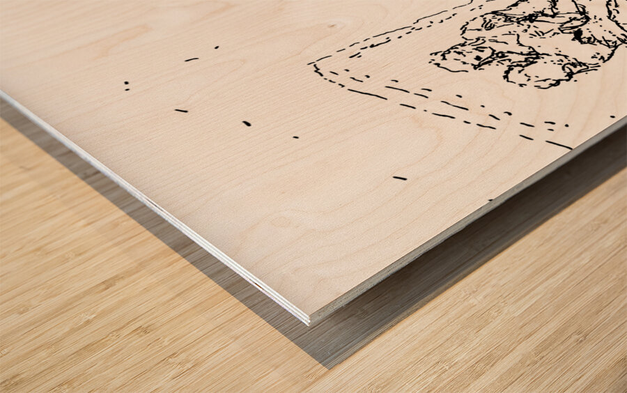 PSX 20240722 190518 Wood print