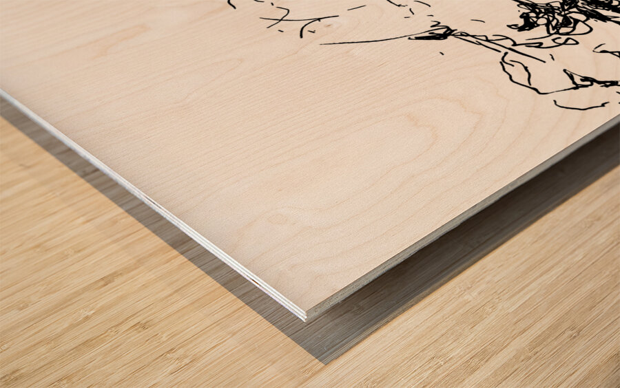 PSX 20240722 180548 Wood print