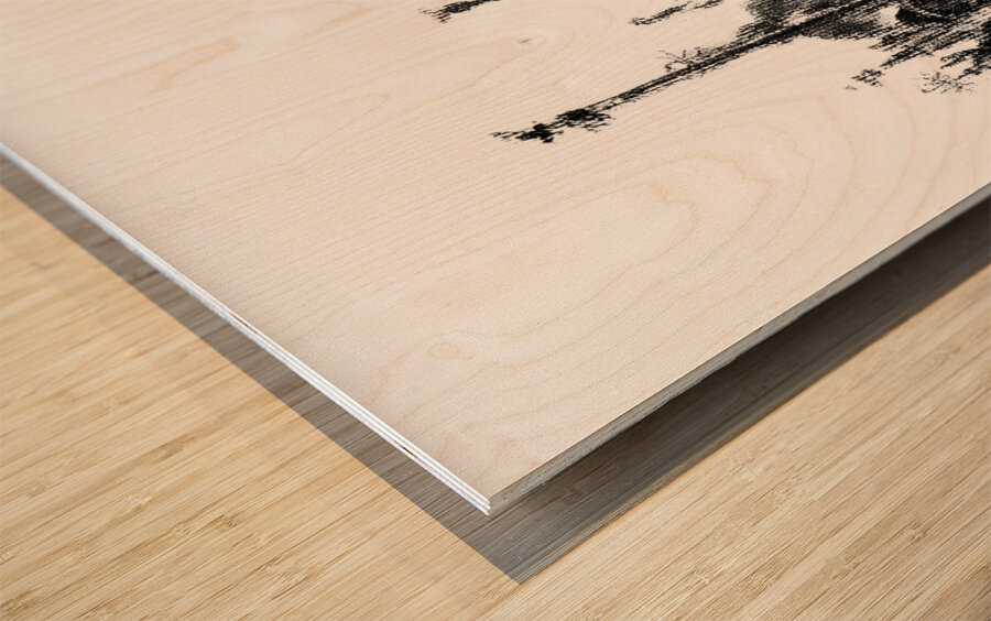 20240211 025423 3   Copy Wood print