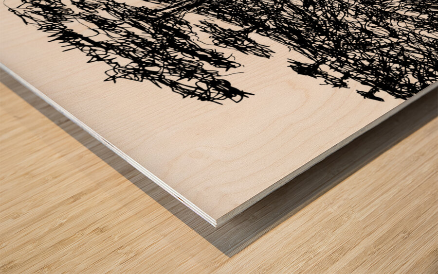 20240328 004220 2 Wood print