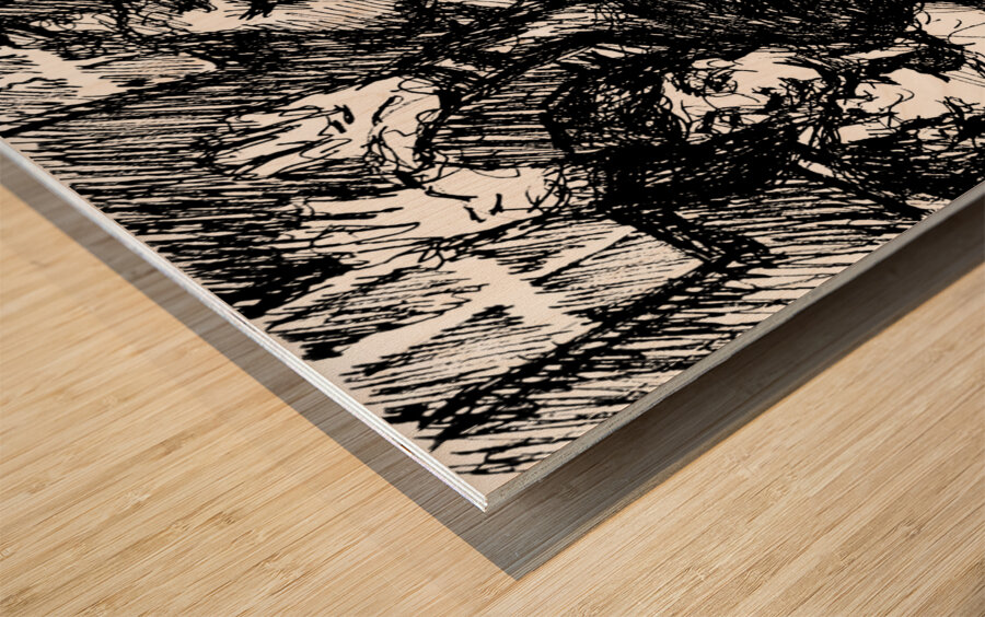 PSX 20250123 230948 Wood print