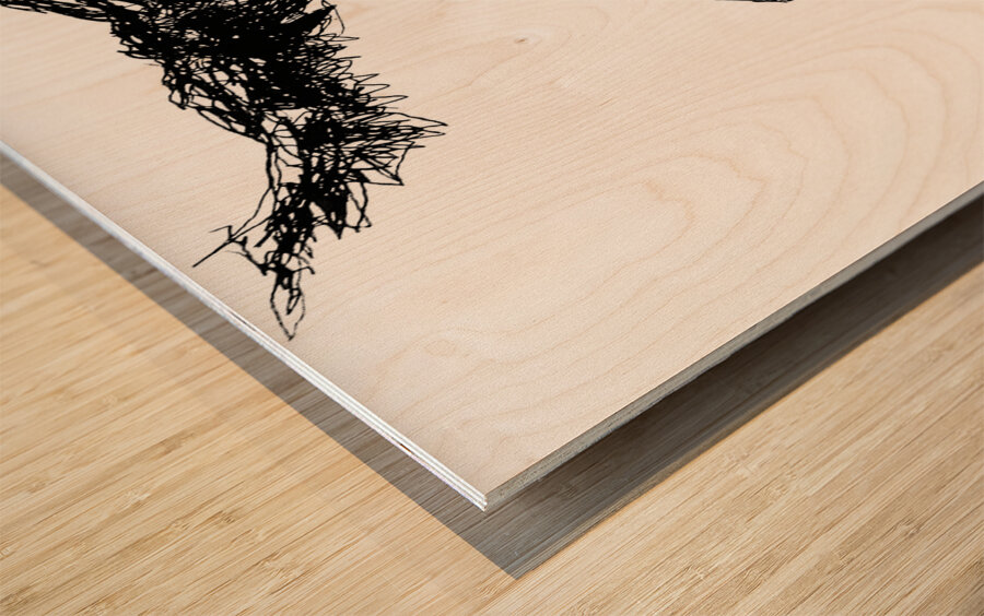 20230702 233518 3 Wood print