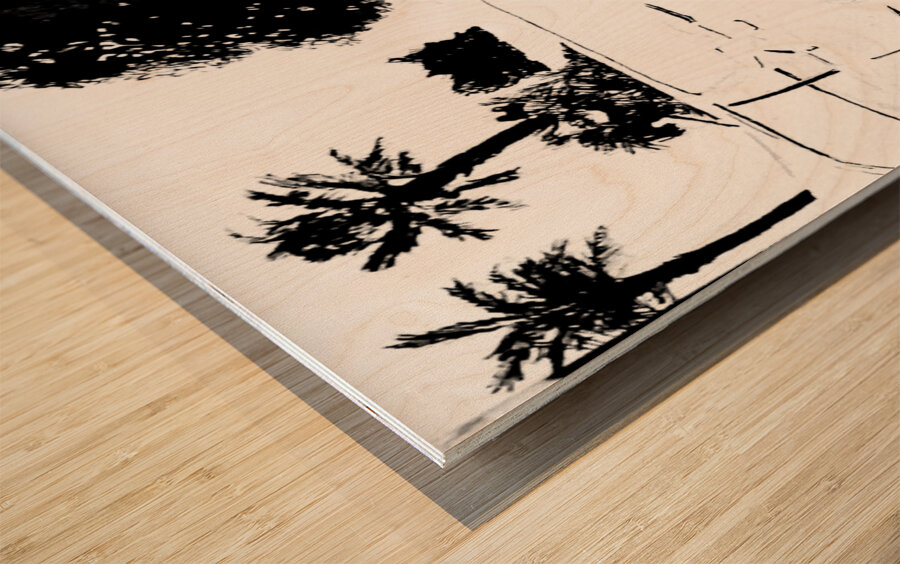 Hooptie - black and white -  PSX 20250302 042229 Wood print