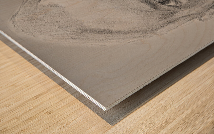 Sketch Portrait | Marc Melis Impression sur bois