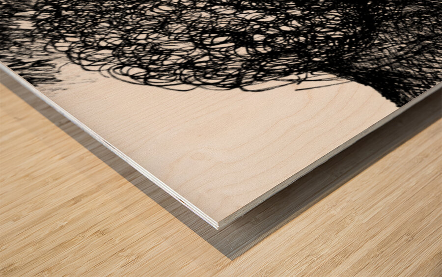 PSX 20250416 002941 Wood print