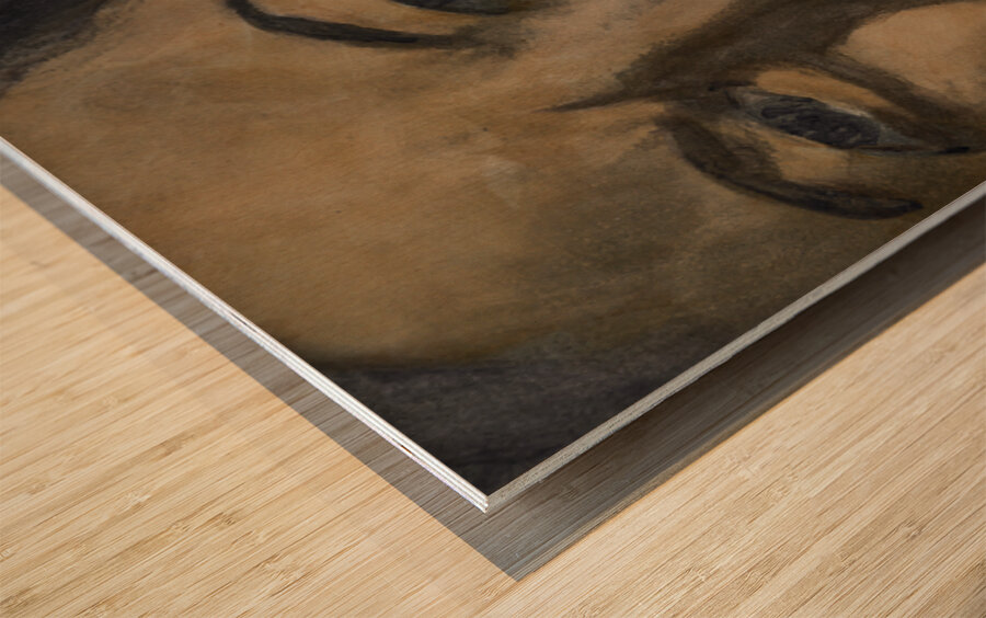 Veronica s Smile 16x12 Marc  Melis   20250617   A Wood print