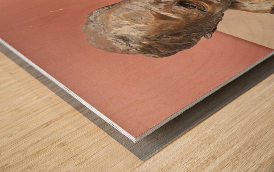 1000018756 Wood print