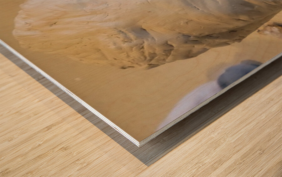 20230817 165107 Wood print