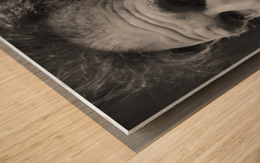 20230720 191455 Wood print