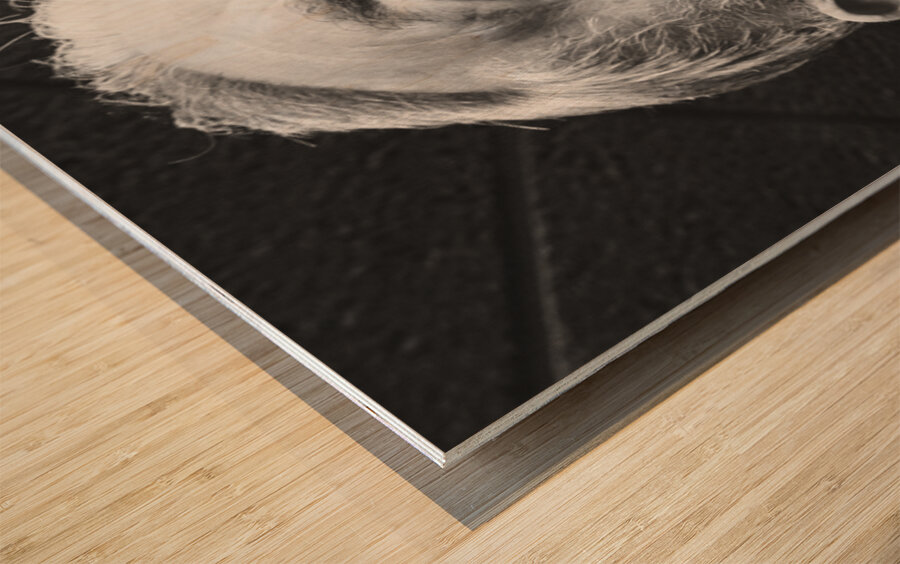 20221124 125902 Wood print