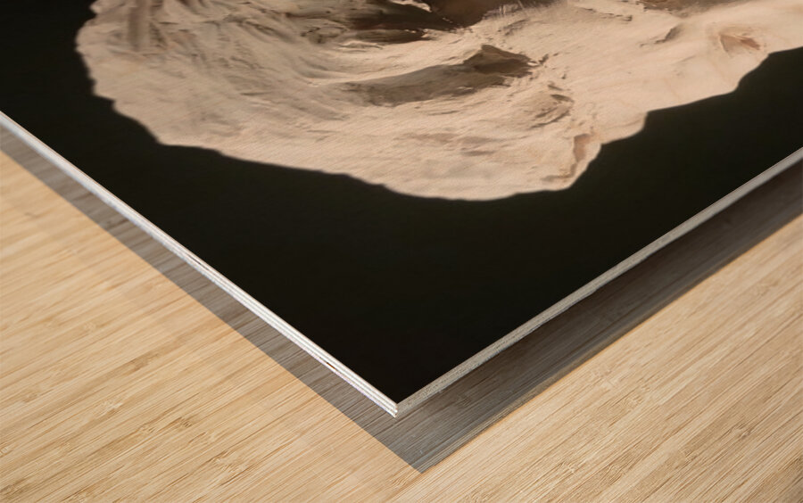 20220803 190543 Wood print