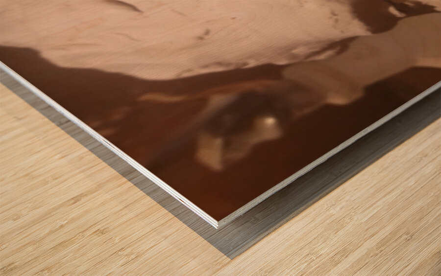 Screenshot 20220521 160006 Gallery EDIT Wood print