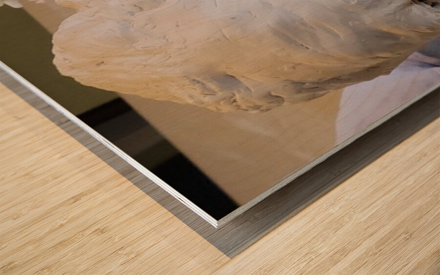 20230817 165011 Wood print