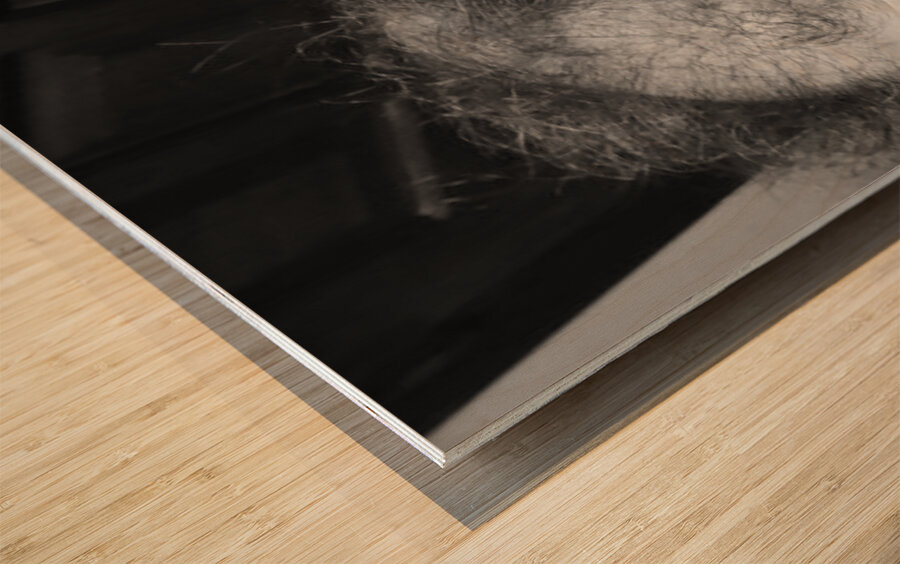 20230720 192314 Wood print